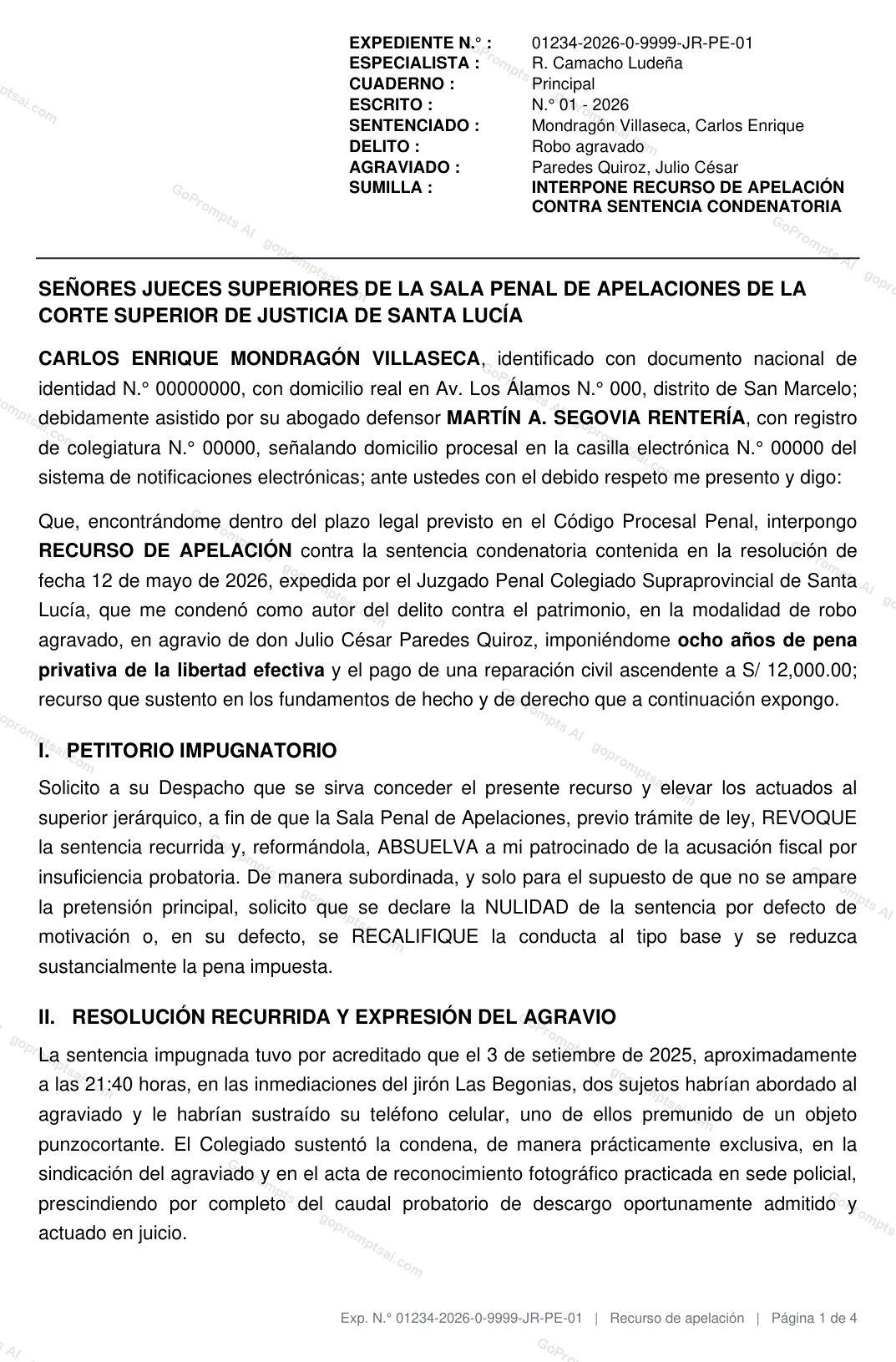Recurso de apelación con petitorio y expresión de agravios — Abogados penalistas